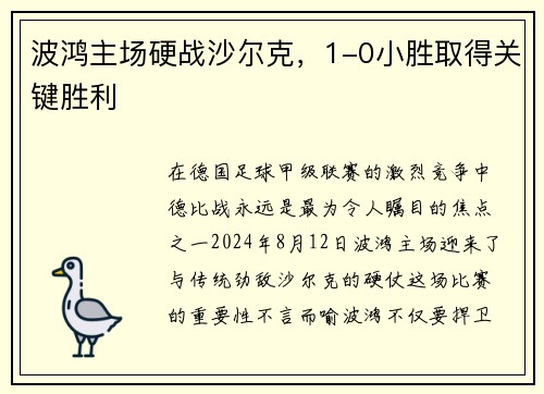 波鸿主场硬战沙尔克，1-0小胜取得关键胜利