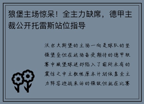 狼堡主场惊呆！全主力缺席，德甲主裁公开托雷斯站位指导